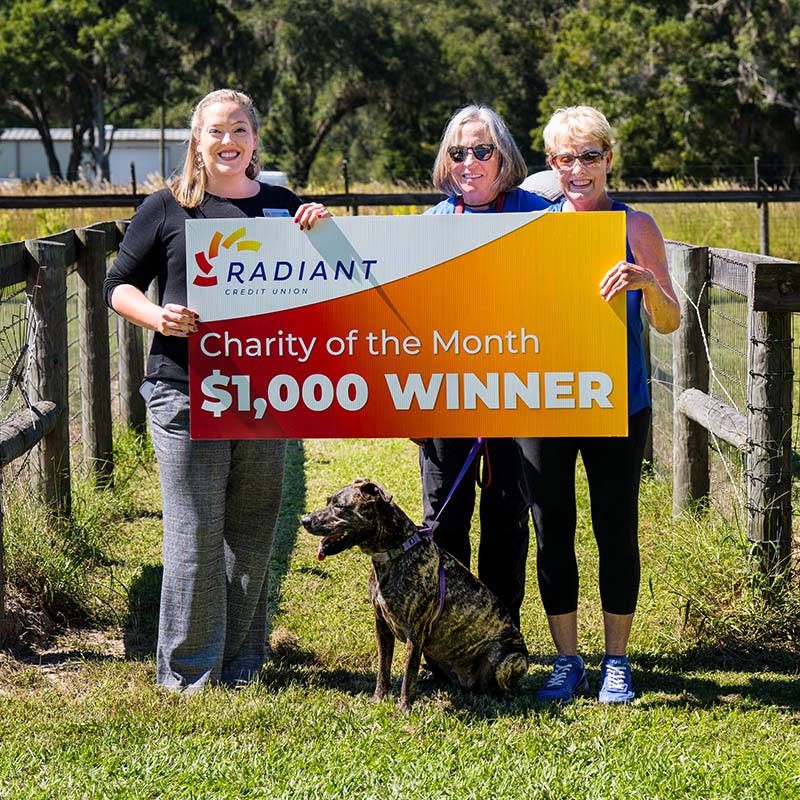 charity of the month - October 2025